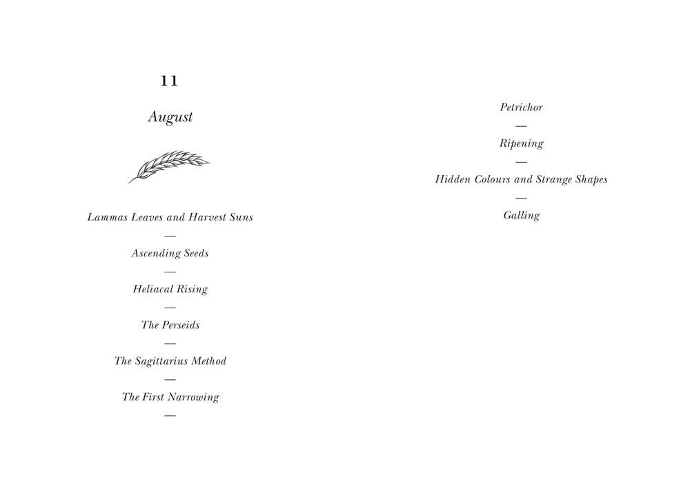 The Hidden Seasons: A Calendar of Nature's Clues