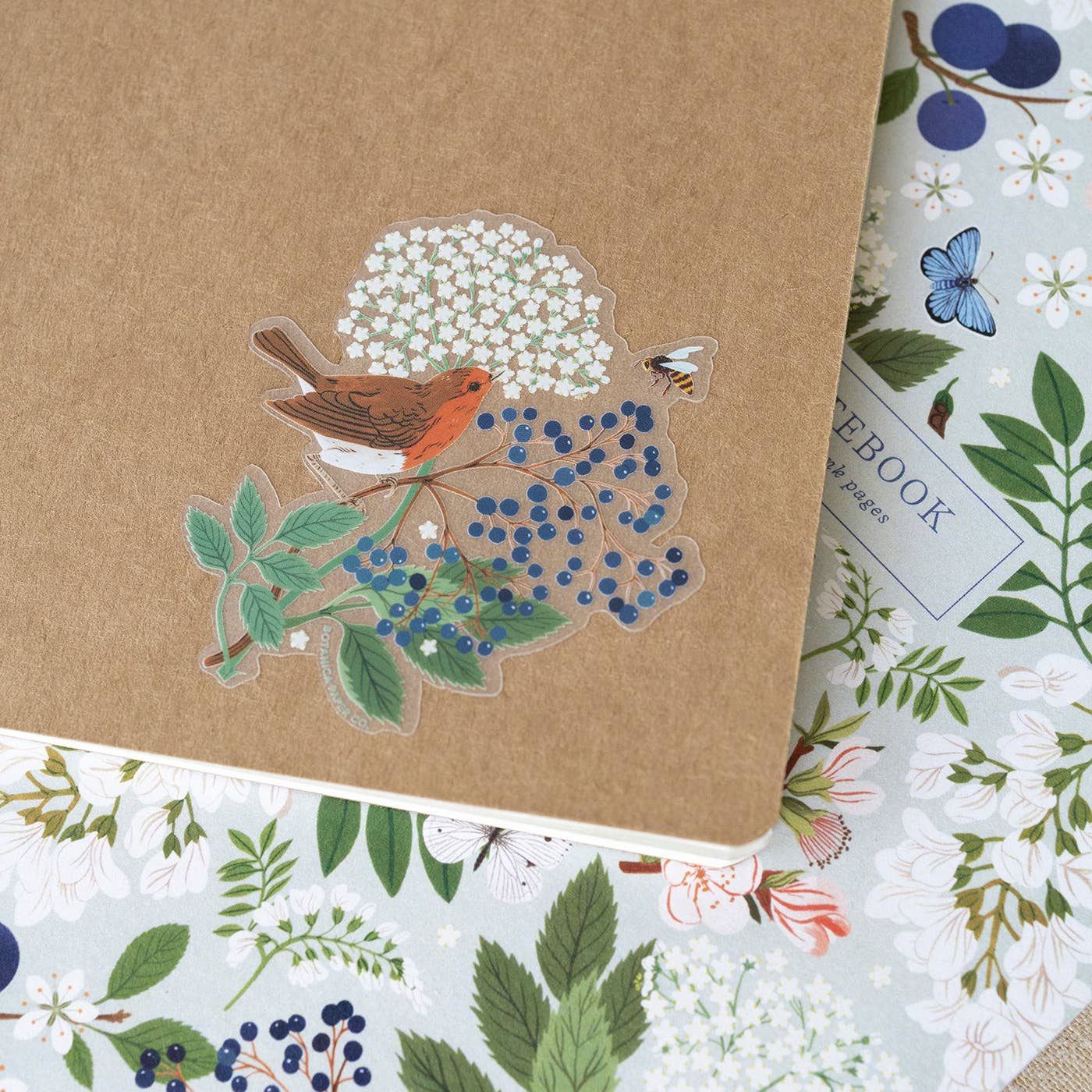 Robin Clear Vinyl Sticker