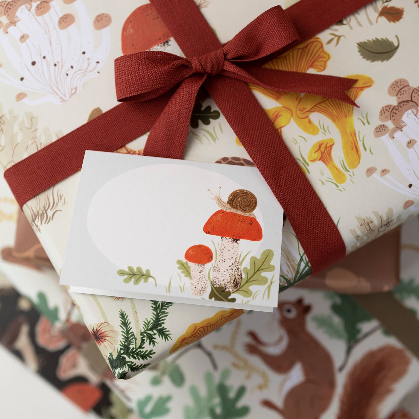 Snail Mini Boxed Cards