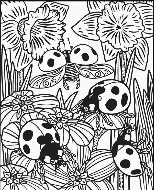 Bugs Magic Painting Book