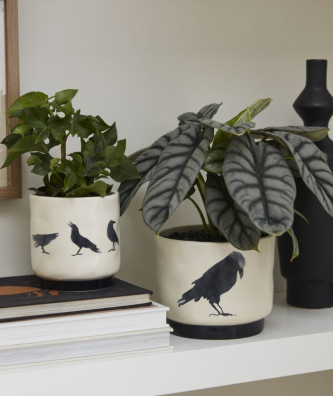 CeramicPotsCrowDesign