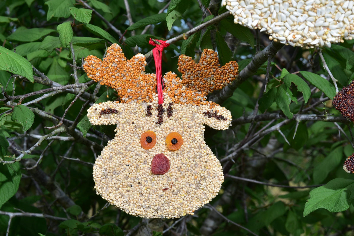 Mr Bird Reindeer Christmas Cookie