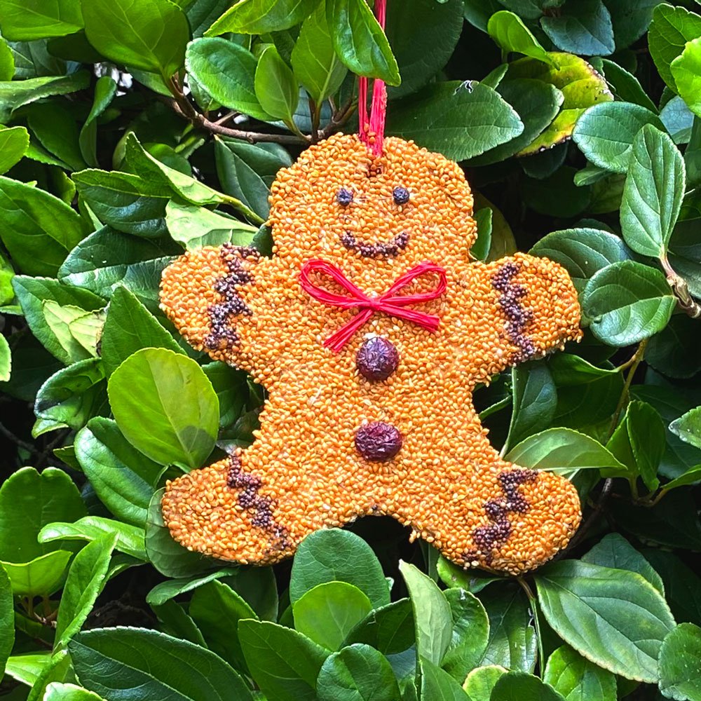 Mr. Bird Gingerbread Man Christmas Cookie