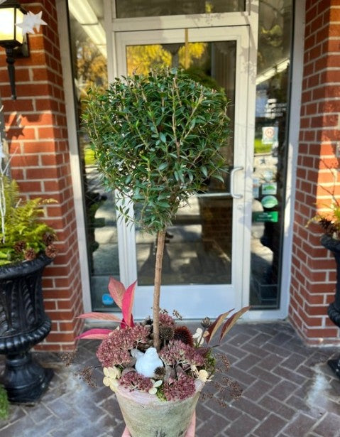 Seasonal Topiary Workshop - 11/13 @ 5:30p