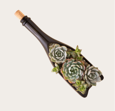 Succulent Soirée - Friday, July 17 at 5:30pm