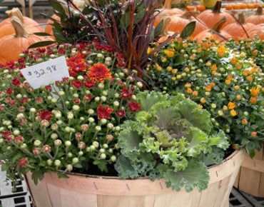 Fall Planter Workshop - Saturday, September 19 at 11am