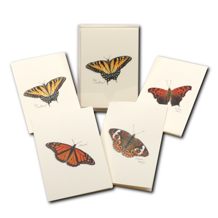 Set of butterfly-themed notebooks on a white background