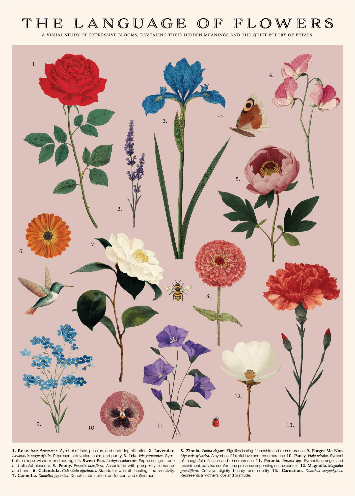 Vintage Posters Wrapping Paper - Language of Flowers