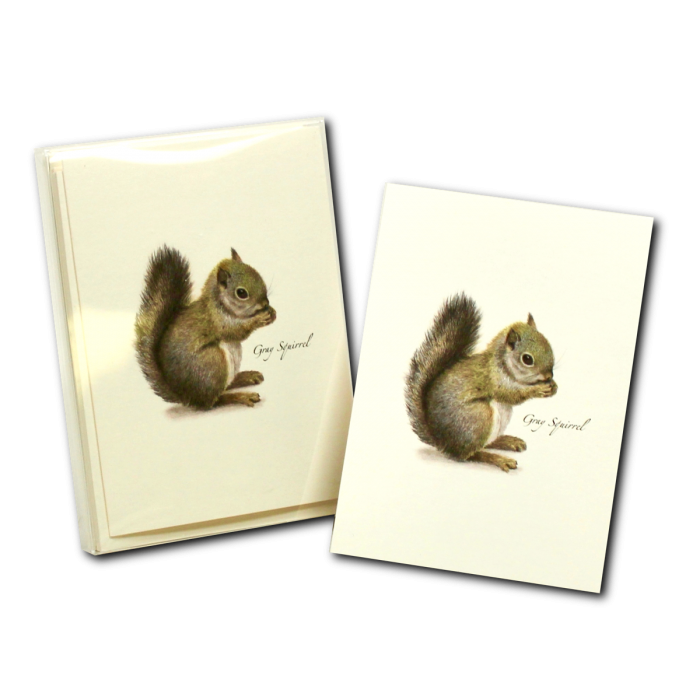 Gray Squirrel Notecards