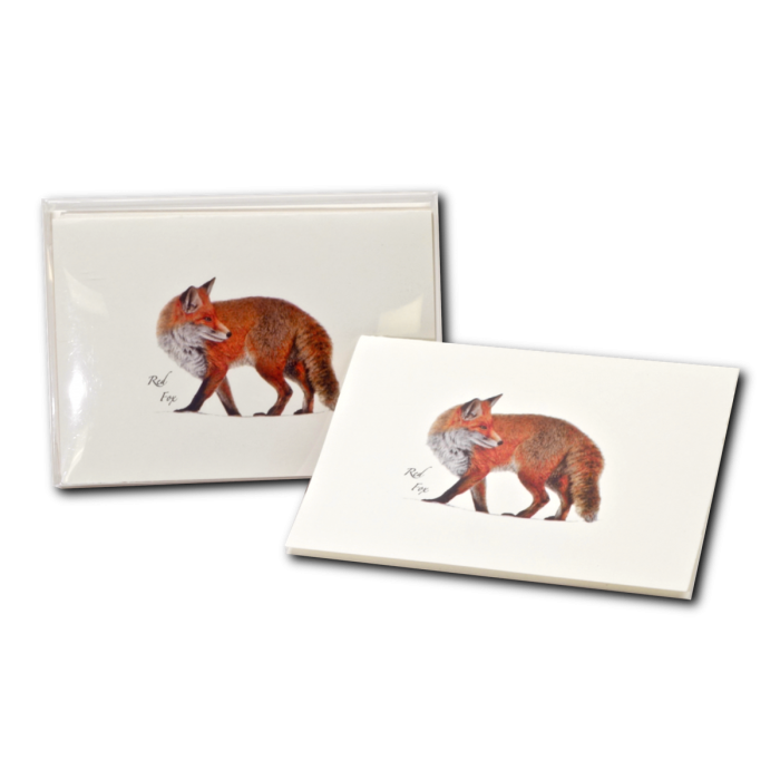 Boxed Red Fox stationery set with eight 3.5 by 5-inch notecards and matching envelopes in recyclable packaging made from recycled water bottles.