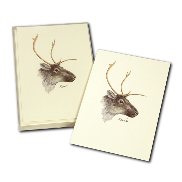 Reindeer Notecards, 8ct