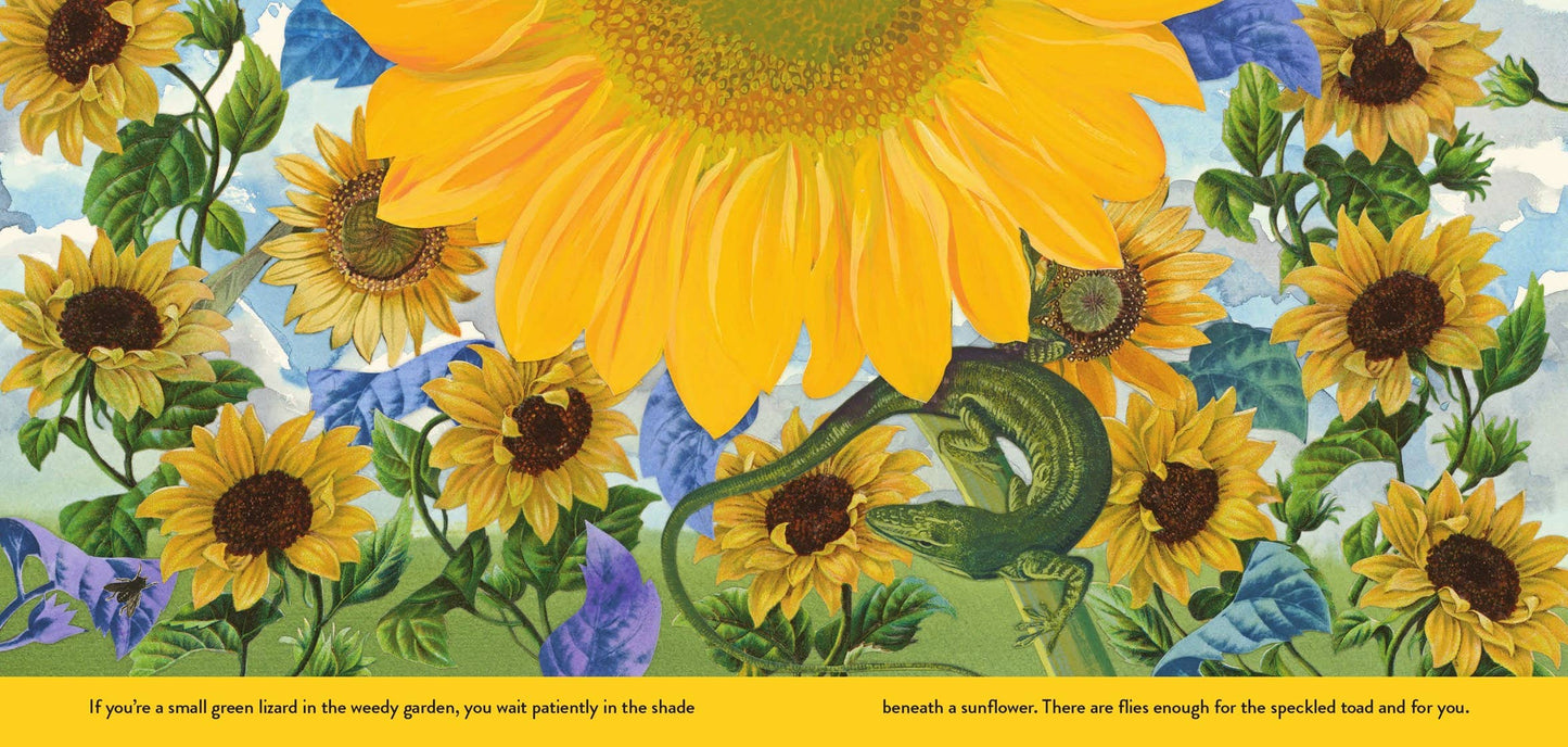 The Weedy Garden by Margaret Renkl