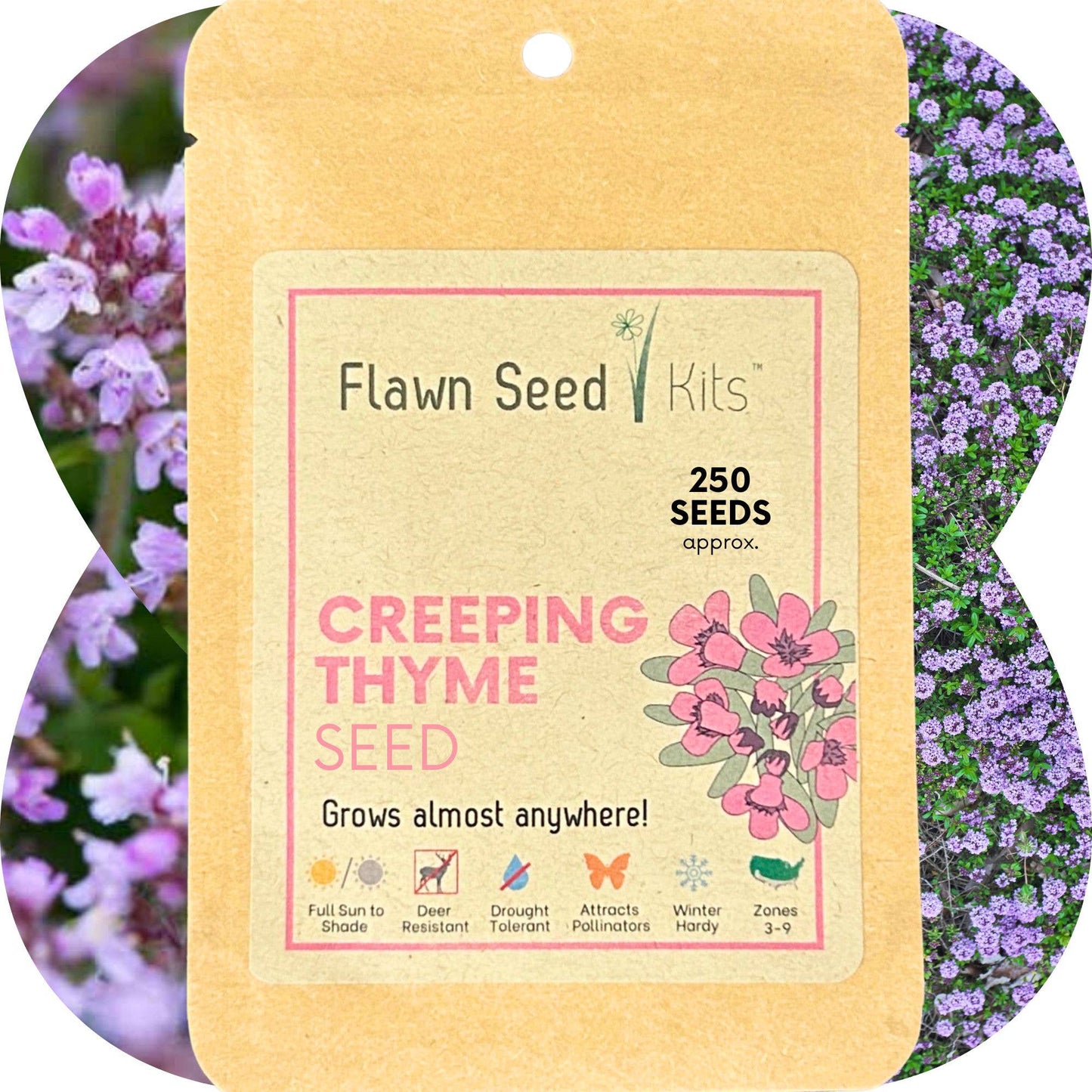 Creeping Thyme Seed Compostable Hanging Pouch