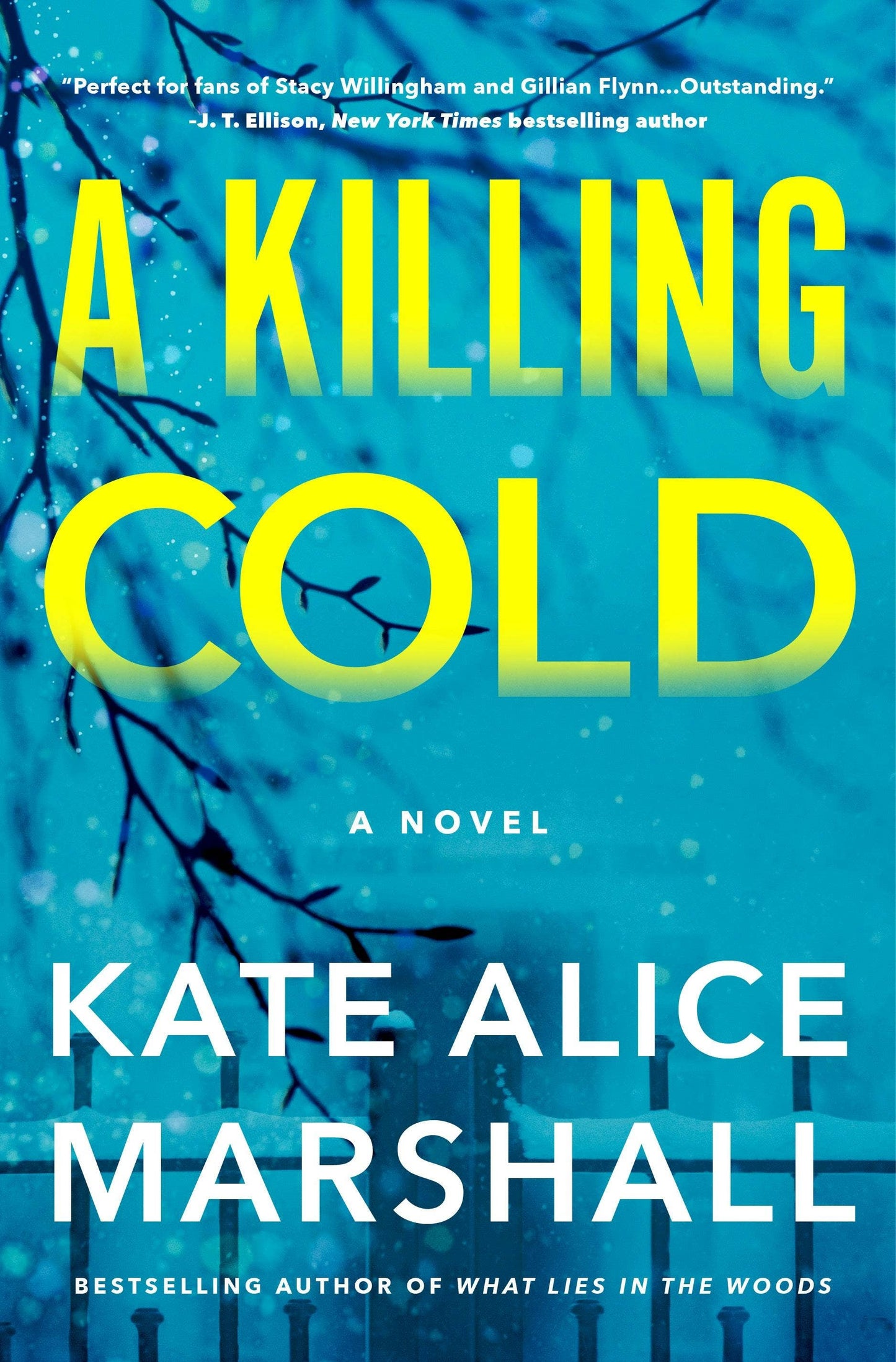 Killing Cold: A Novel