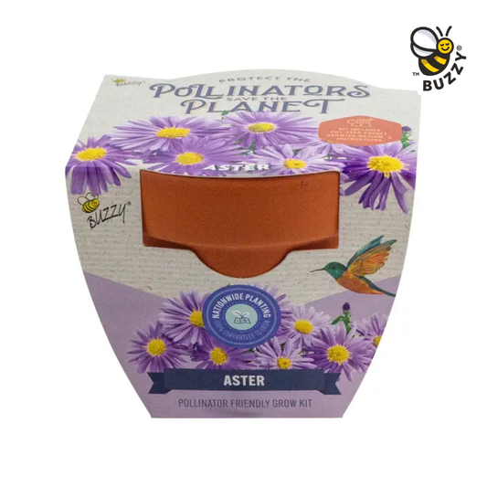 Aster Protect the Pollinators Growing Kit