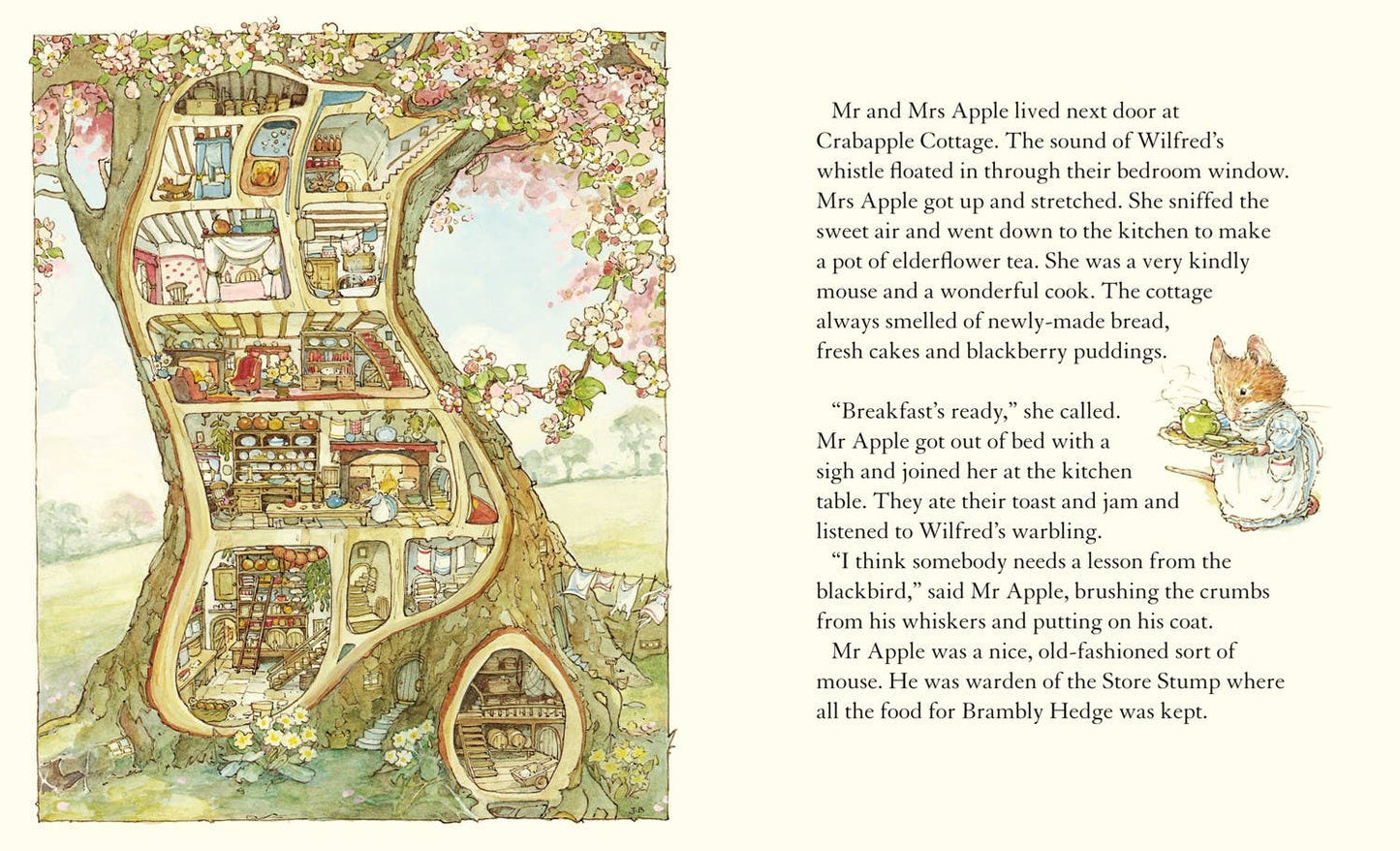 Spring Story by Jill Barklem