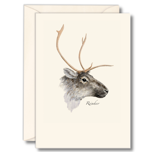 Reindeer Notecards, 8ct