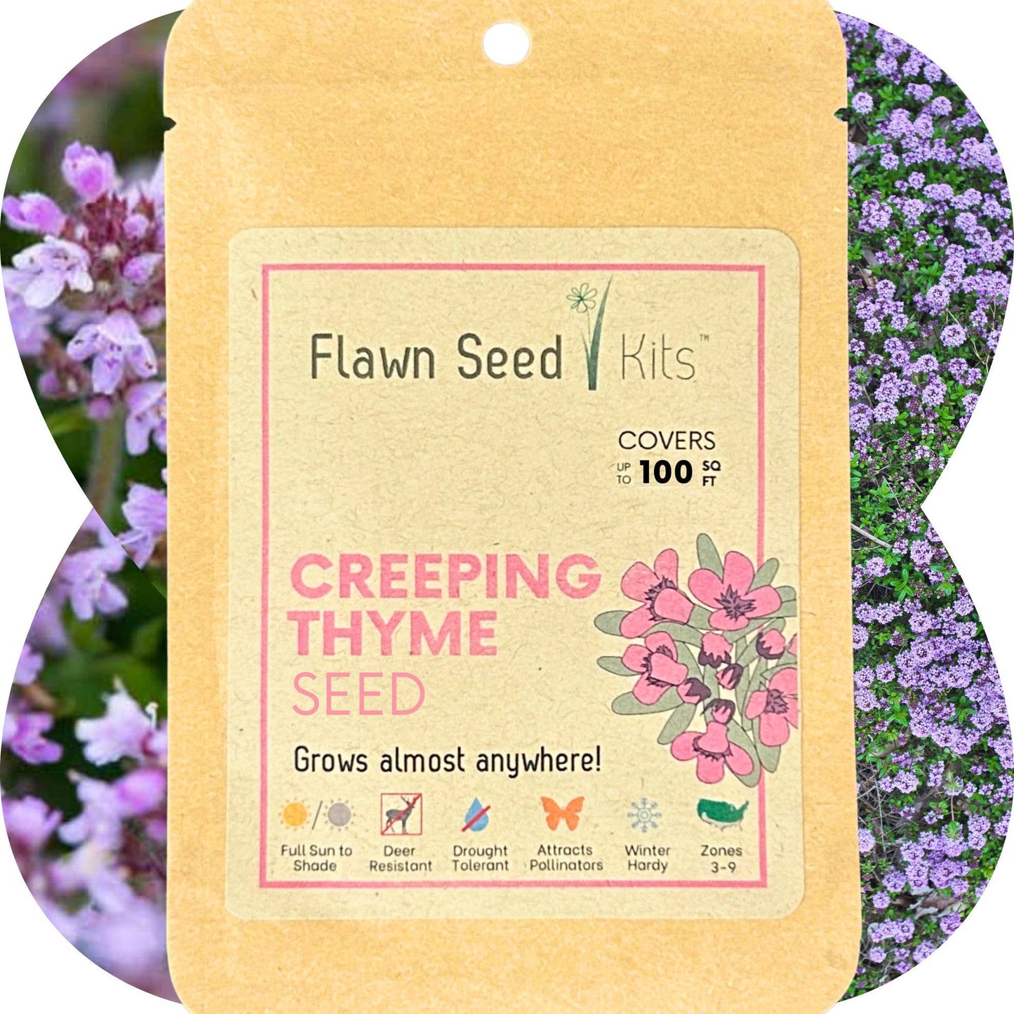 Creeping Thyme Seed Compostable Hanging Pouch