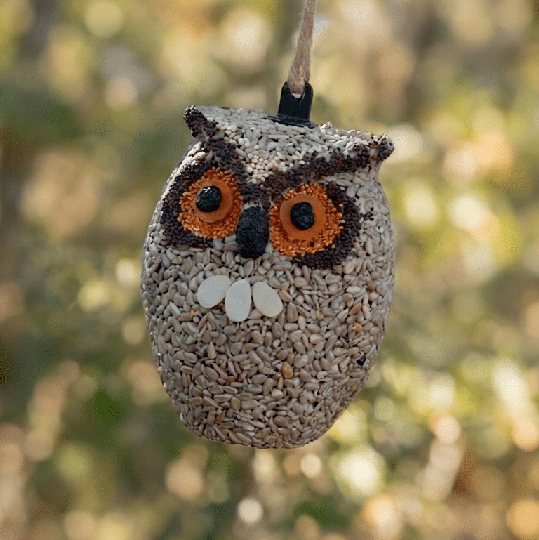Mr Bird Whoo-lio the Owl