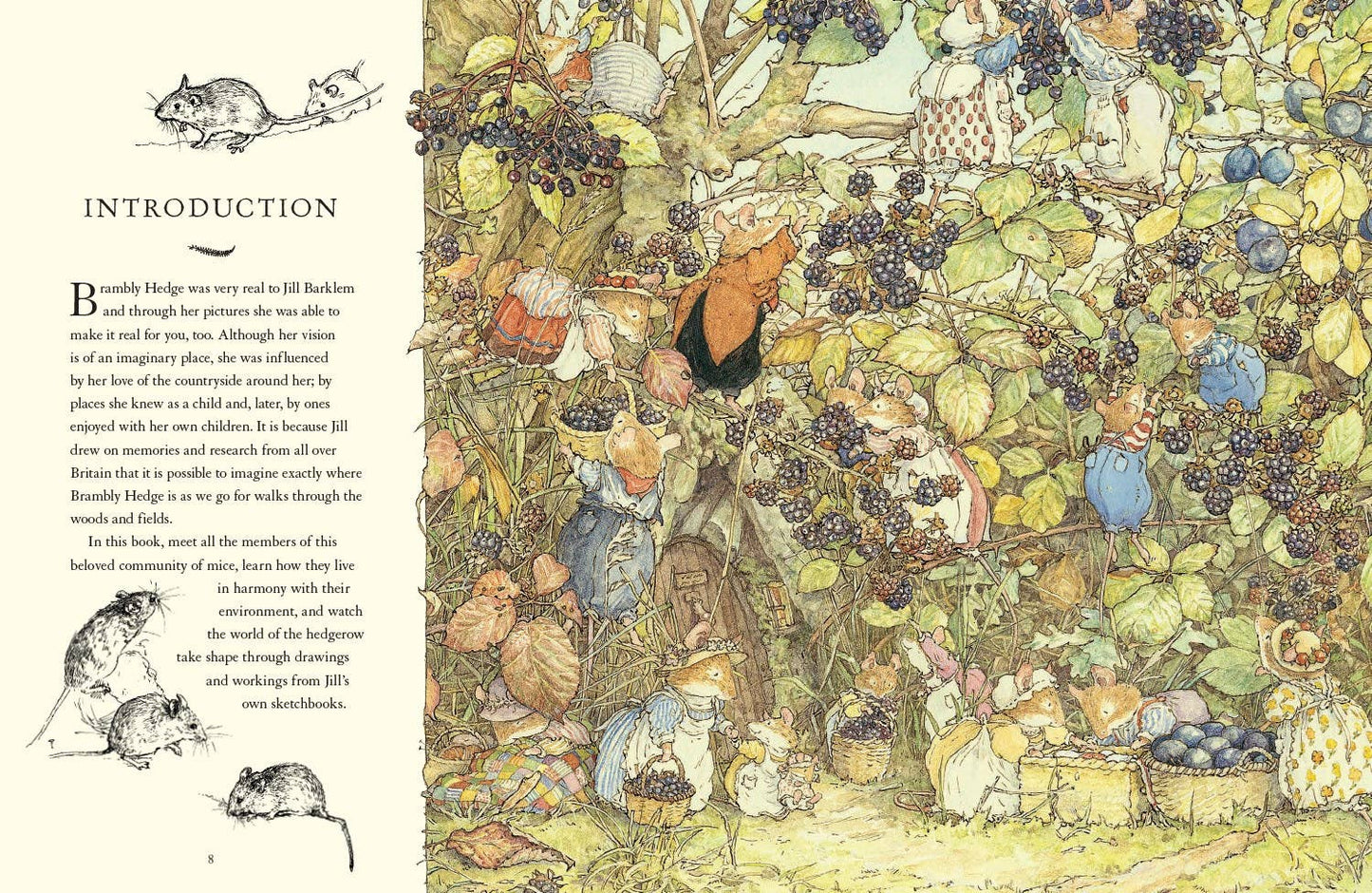 Visit to Brambly Hedge by Jill Barklem