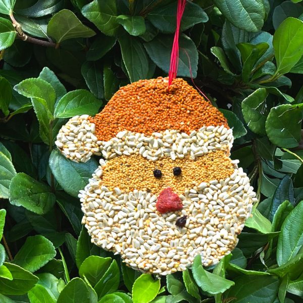 Mr Bird Santa Christmas Cookie