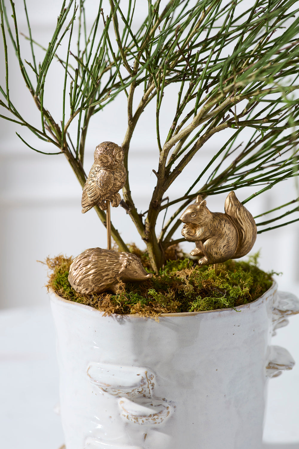 Scurry Plant Sticks