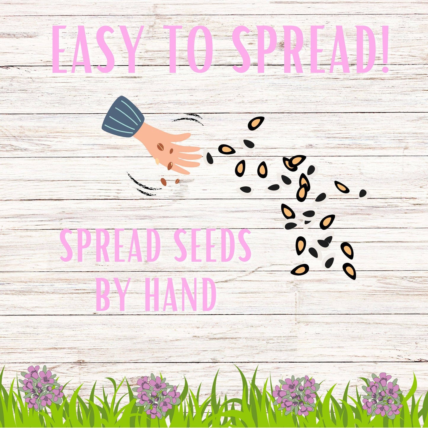Creeping Thyme Seed Compostable Hanging Pouch