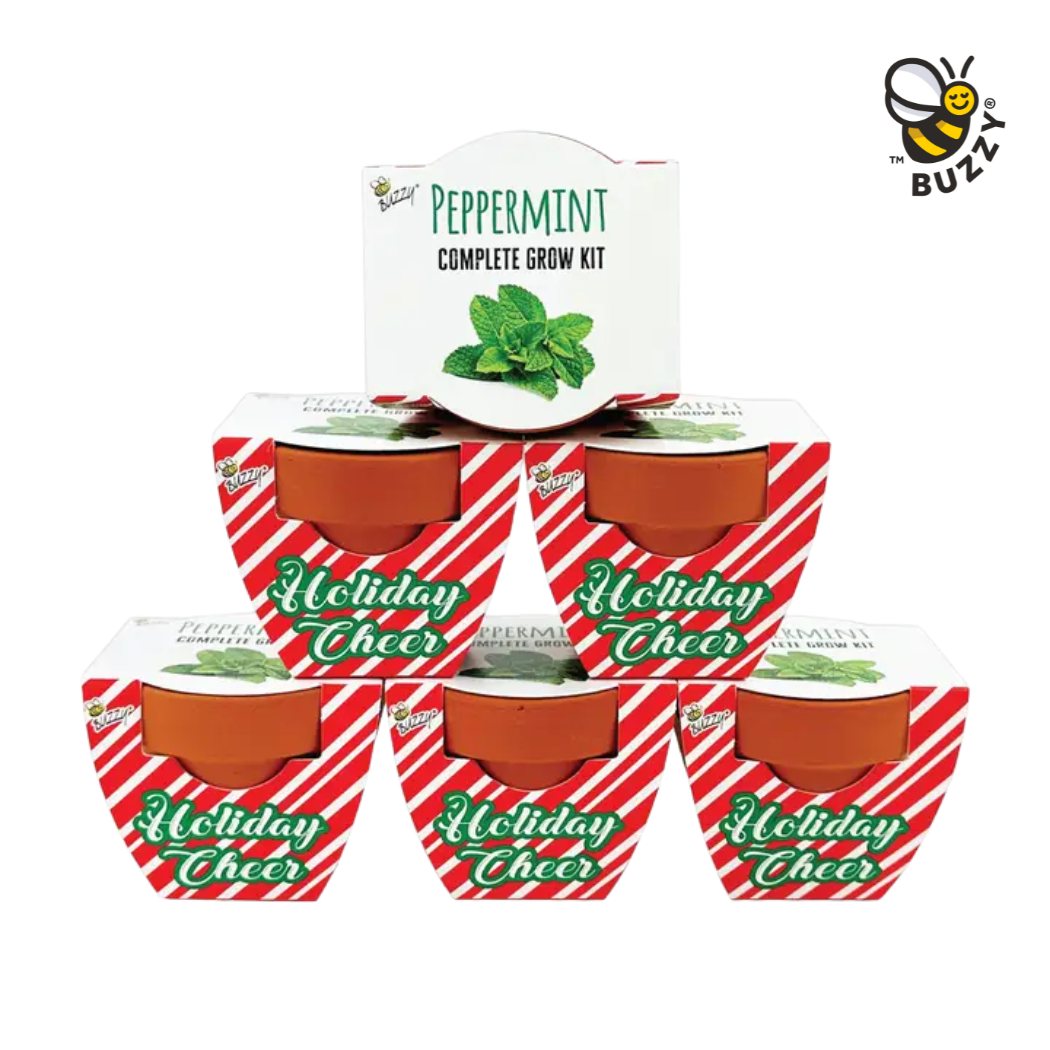Peppermint Mini Terracotta Pots – Grow Kit