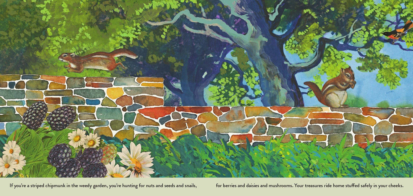 The Weedy Garden by Margaret Renkl