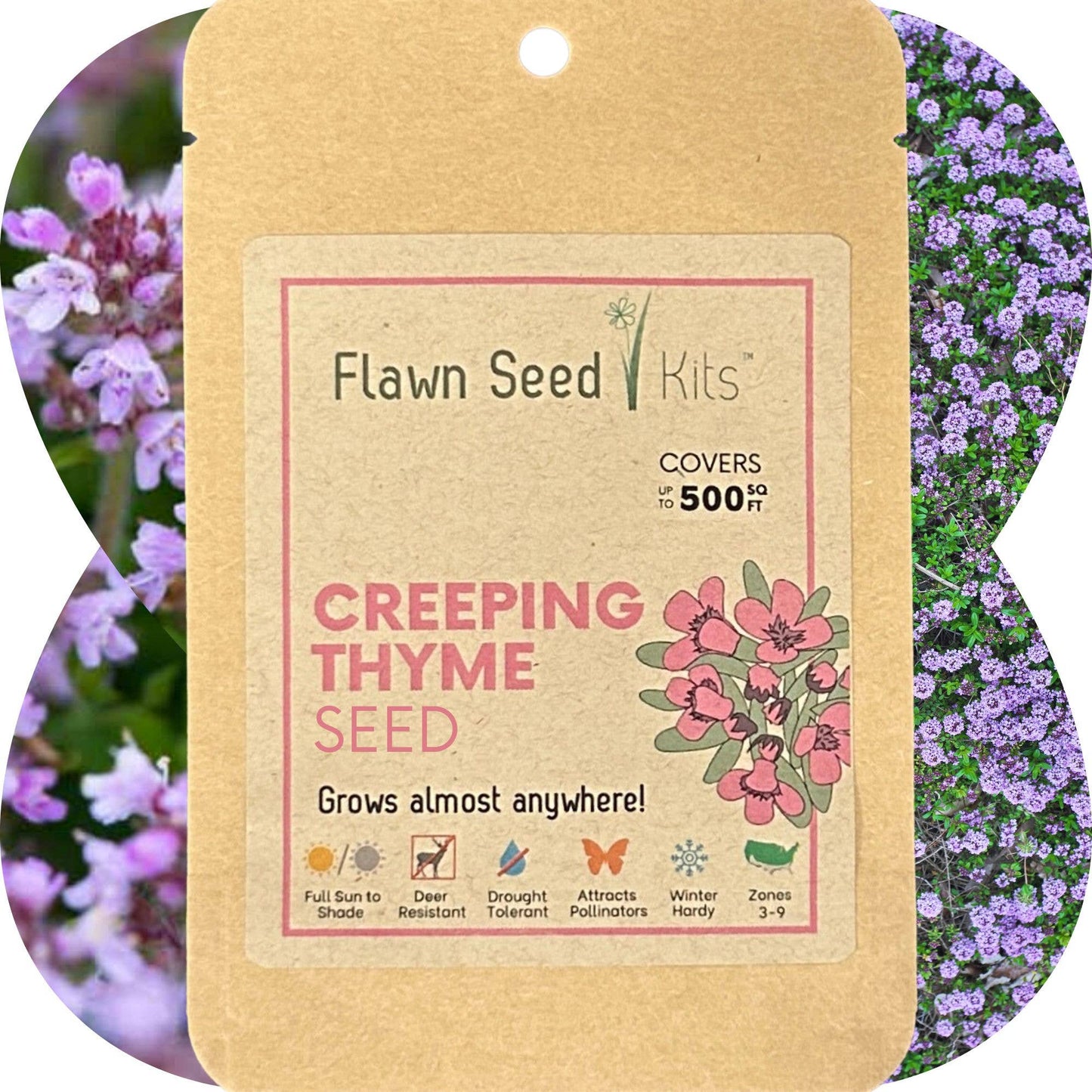 Creeping Thyme Seed Compostable Hanging Pouch
