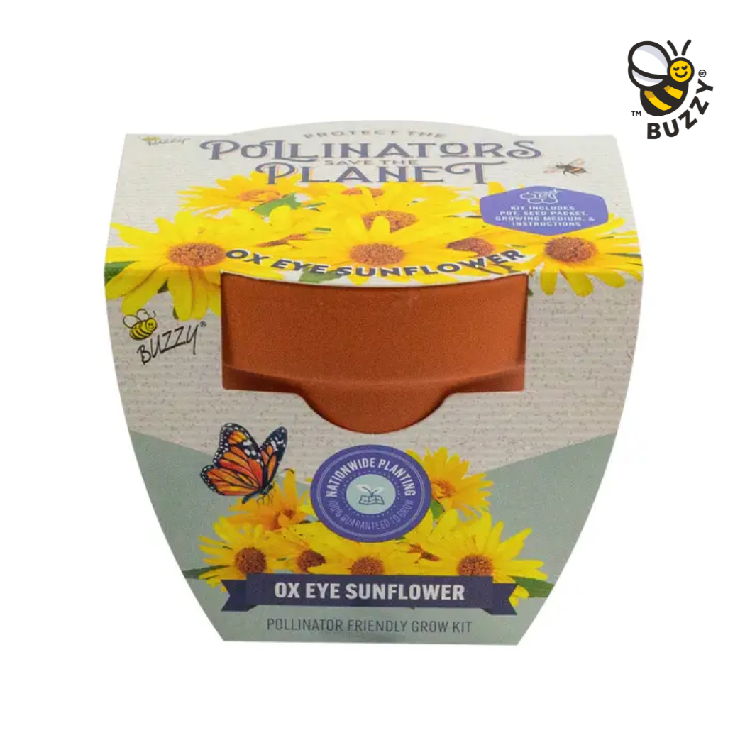 Ox Eye Sunflower Protect the Pollinators Growing Kit