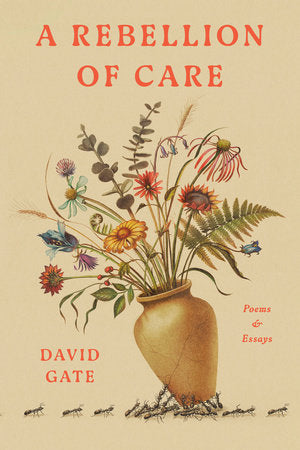 A Rebellion Of Care by David Gate