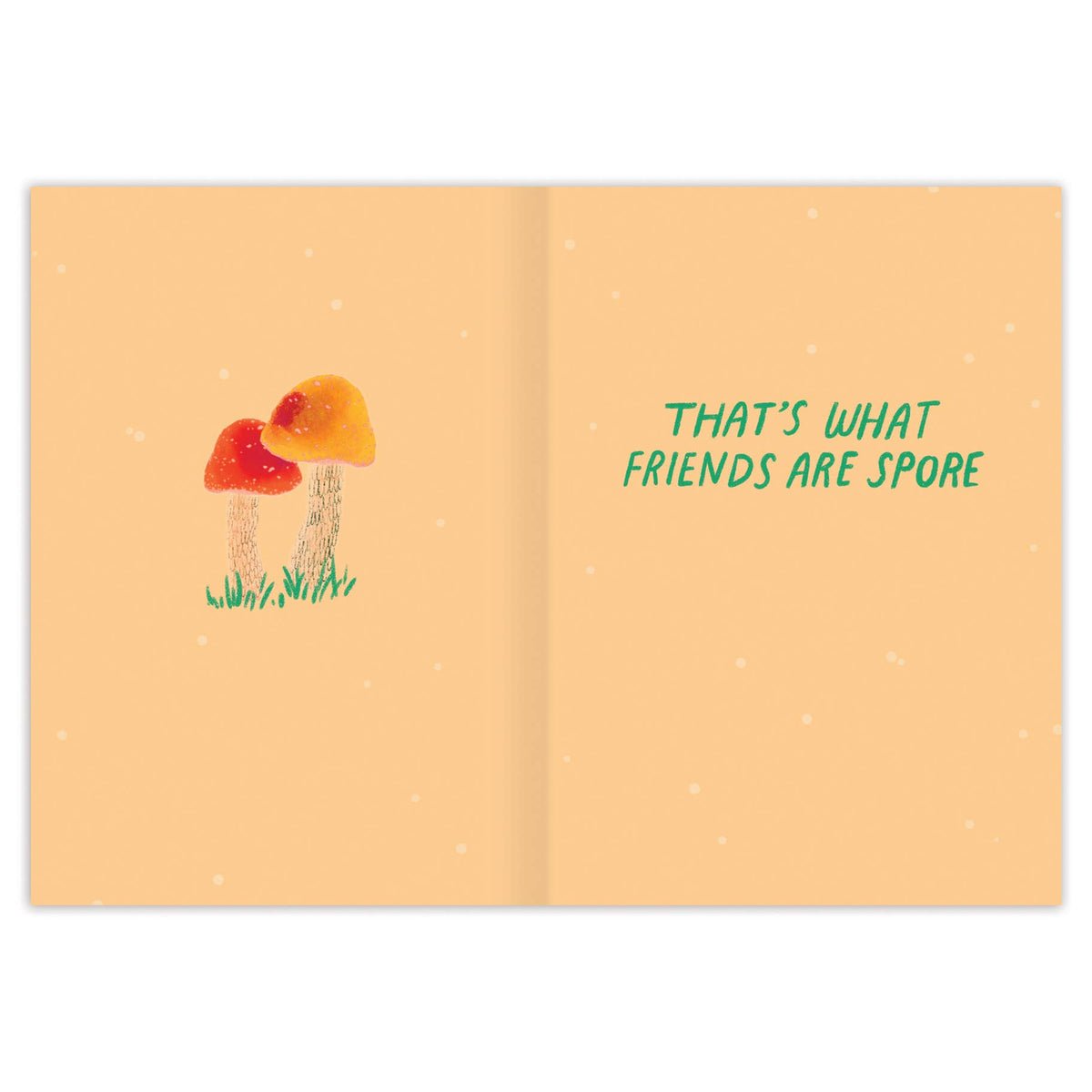 Open book with illustrations of mushrooms and text on a peach background
