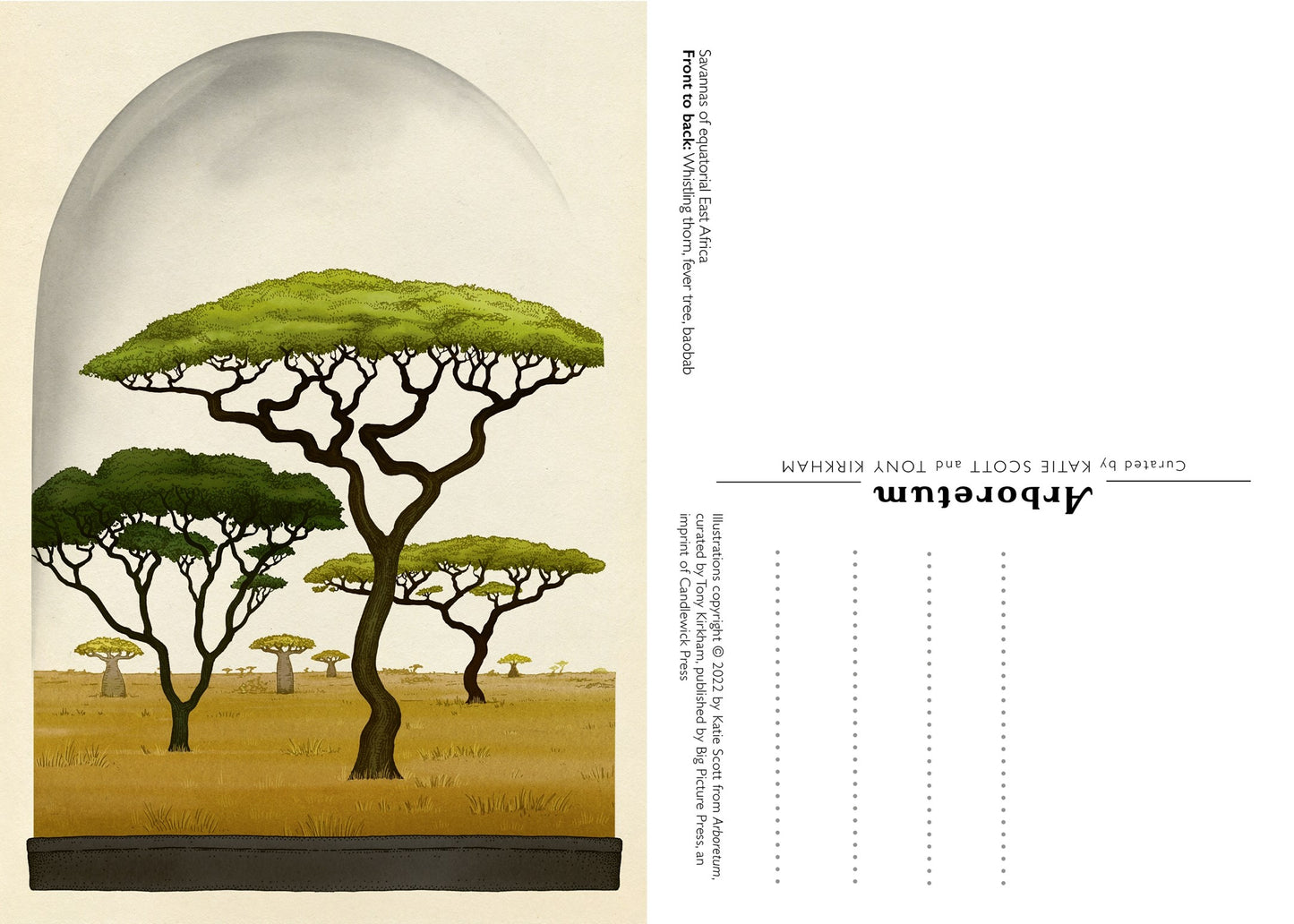 Arboretum Postcard Box Set