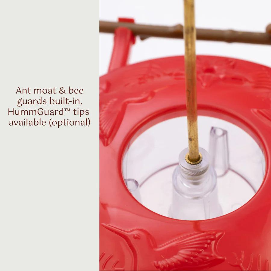 AspenPerch Hummingbird Feeder 8oz