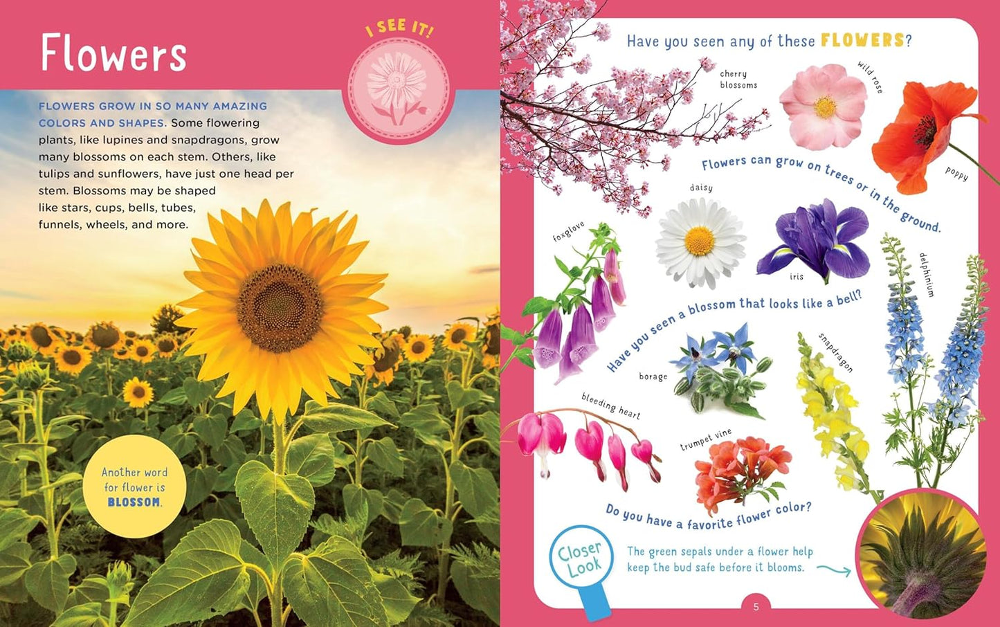 Backpack Explorer: Discovering Plants and Trees