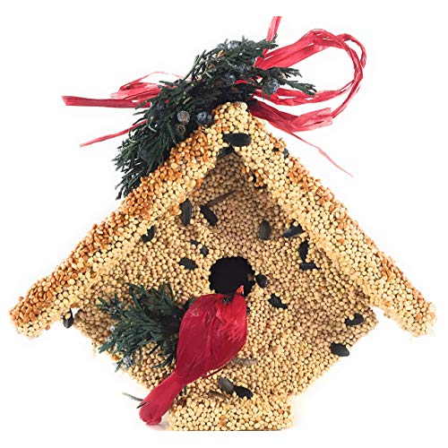 Exterior-grade wooden wren house covered in bird seed with juniper berries and a red cardinal accent — the Wren Casita by Mr. Bird, perfect for backyard bird feeding and nesting.