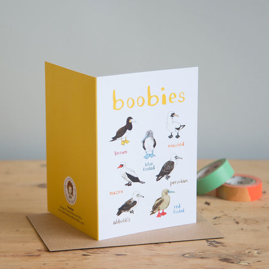 Card with illustrations of various birds and the word 'boobies' on a wooden surface.