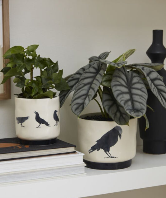 CeramicPotsCrowDesign