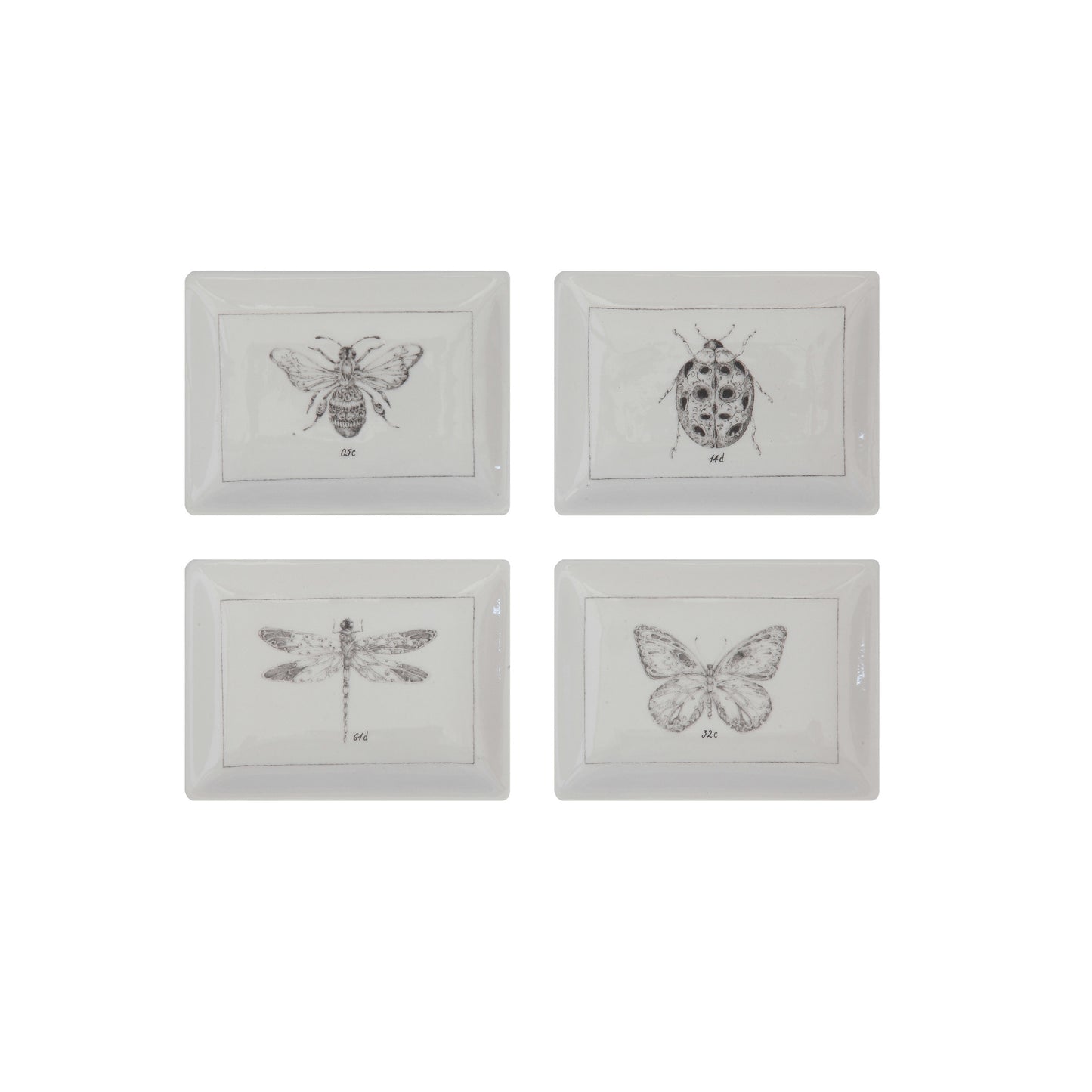 Ceramic Trinket Dish with Garden Insect, 4 Styles
