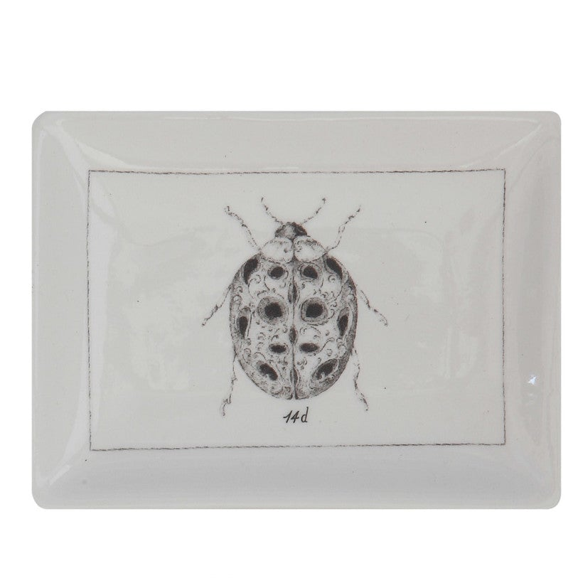 Ceramic Trinket Dish with Garden Insect, 4 Styles