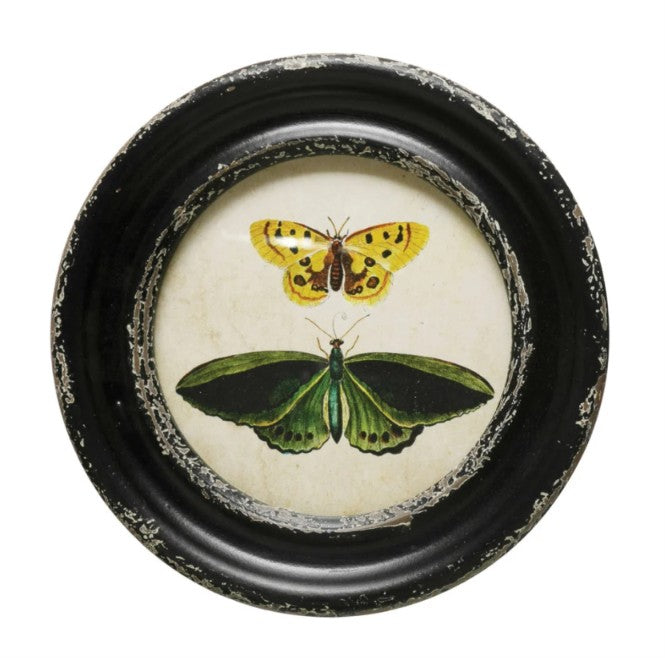 Framed Wall Decor with Moths/Butterflies Image, Asst.