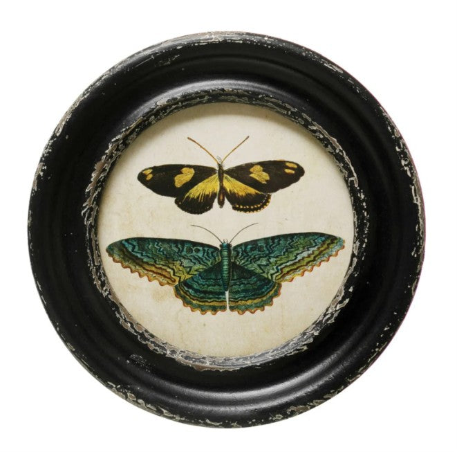 Framed Wall Decor with Moths/Butterflies Image, Asst.