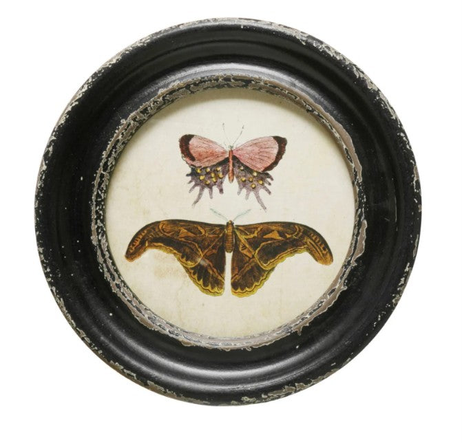 Framed Wall Decor with Moths/Butterflies Image, Asst.