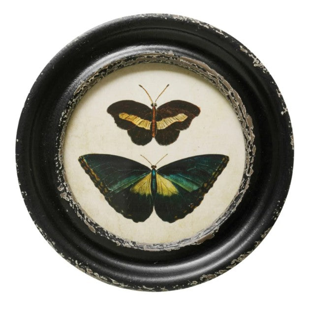 Framed Wall Decor with Moths/Butterflies Image, Asst.