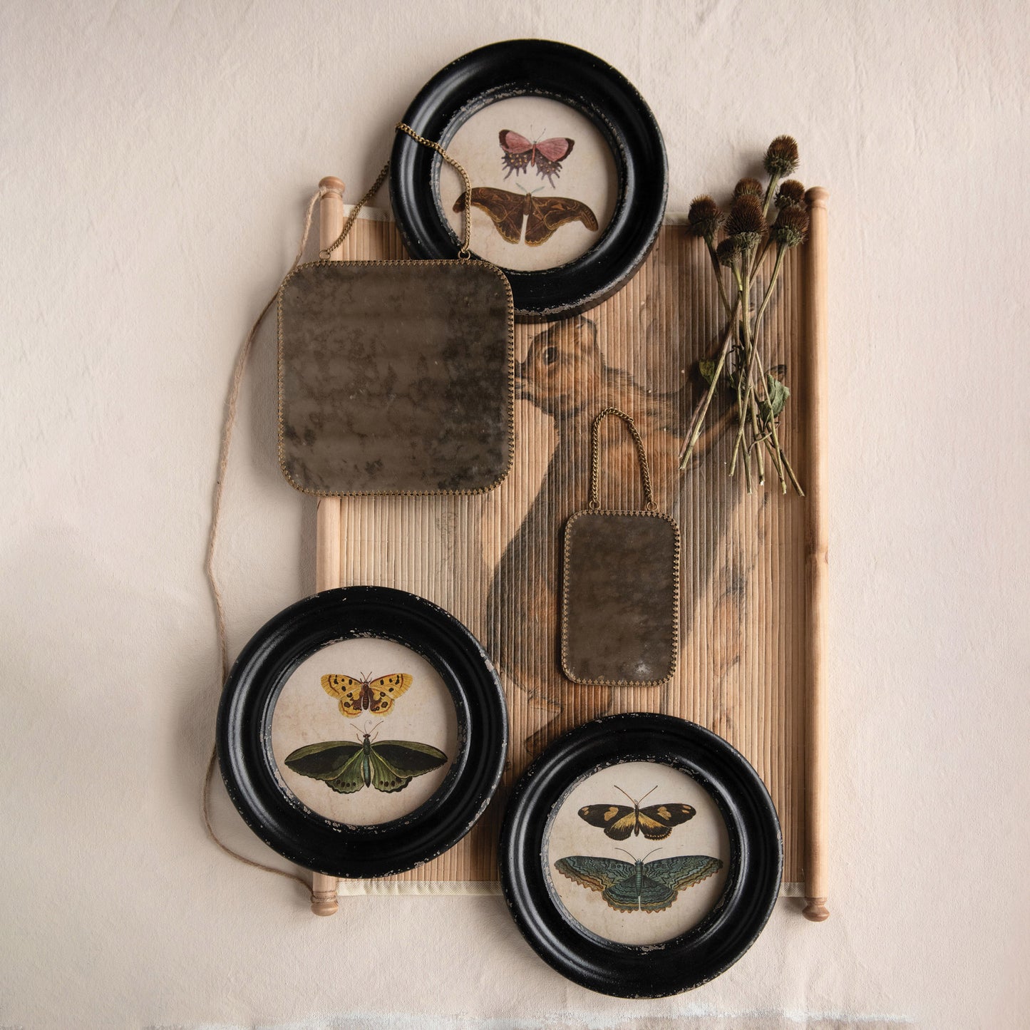 Framed Wall Decor with Moths/Butterflies Image, Asst.