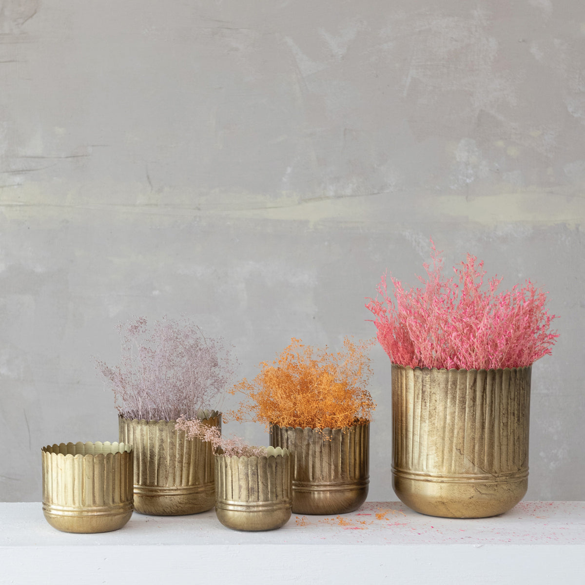 Metal Ribbed Planters with Scalloped Rims, 5 sizes