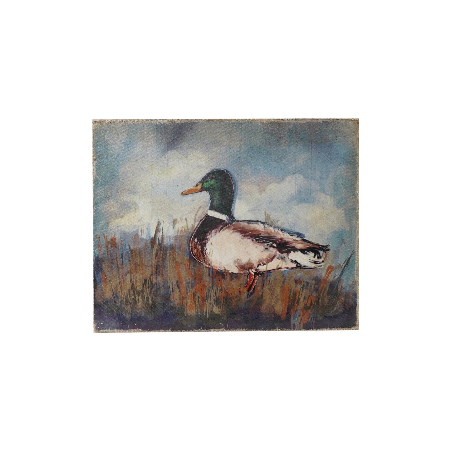 Duck Framed Wall Art