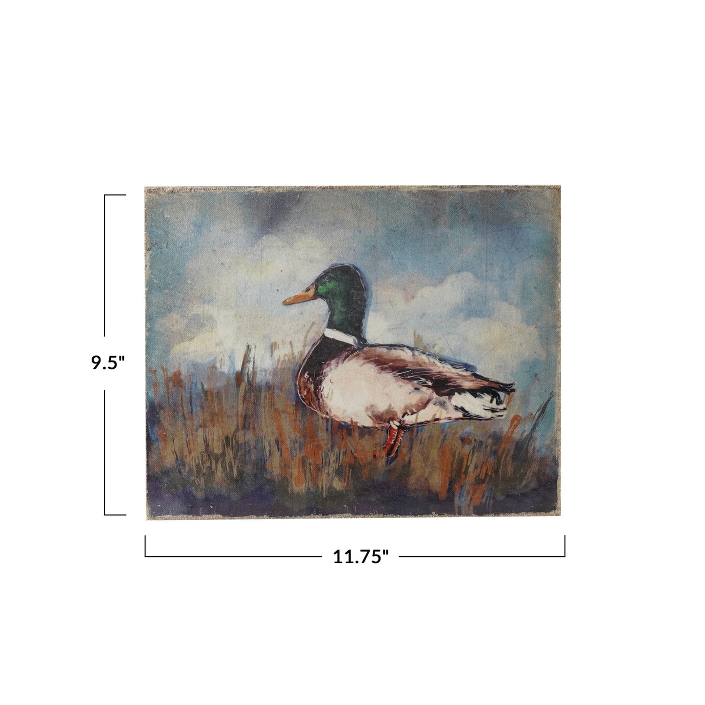Duck Framed Wall Art