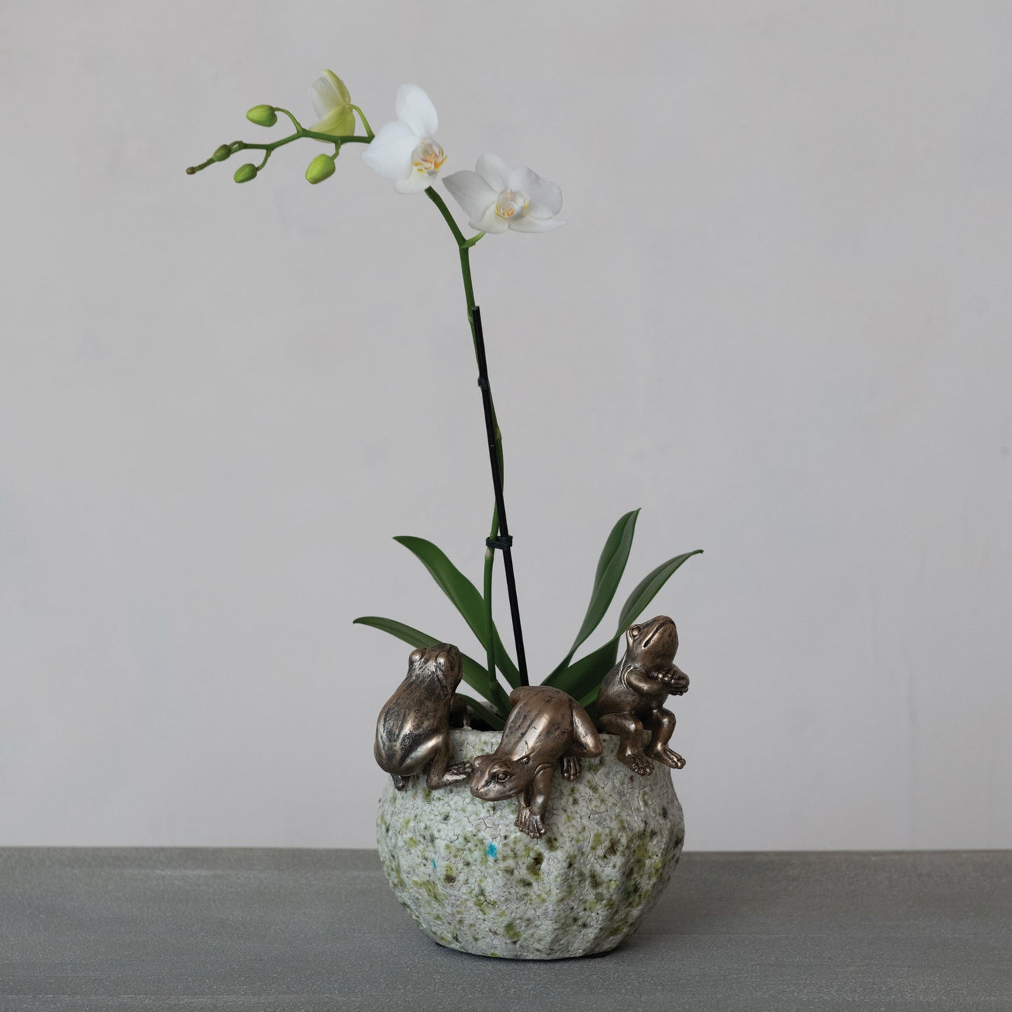 Decorative Frog Pot Hanger